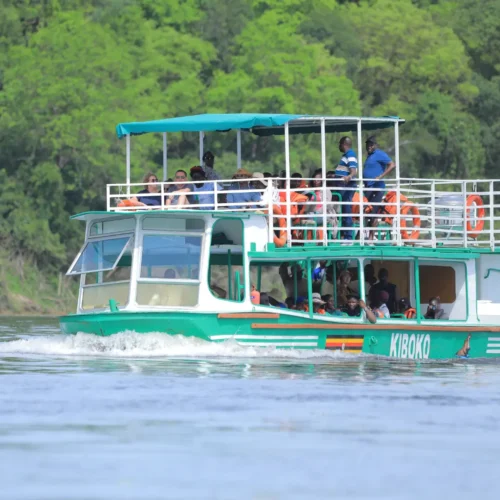 Boat Cruise