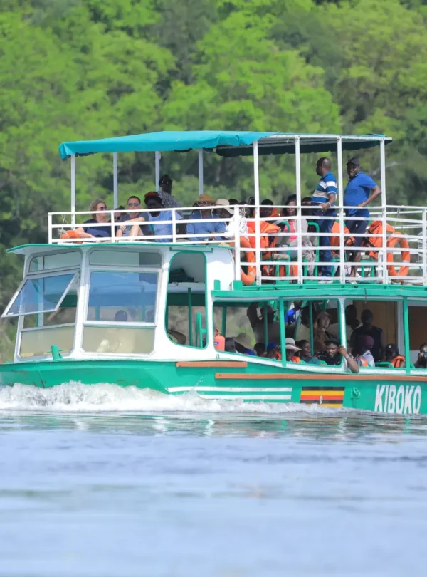 Boat Cruise