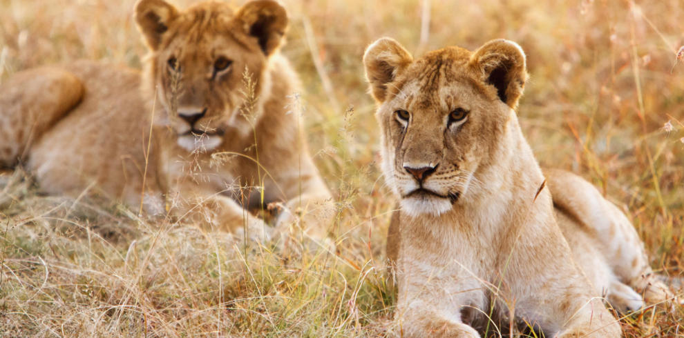Queen Elizabeth National Park, Rwanda, Uganda