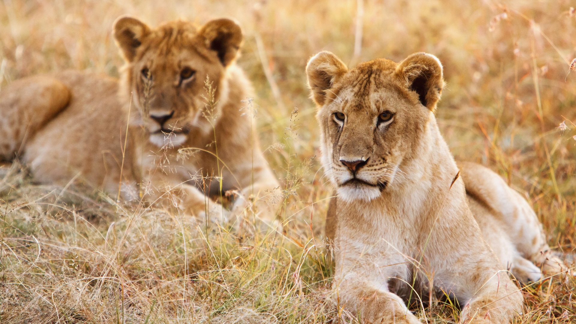 Queen Elizabeth National Park, Rwanda, Uganda