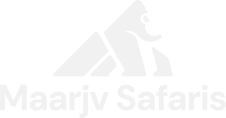 Maarjv Safaris Primary Logo
